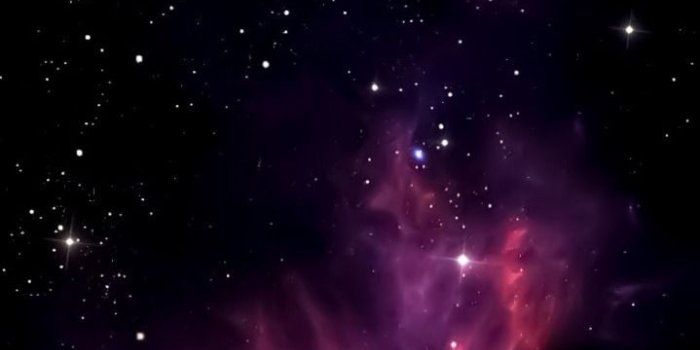 719x1280 Assassins can fly — the purple Galaxy Silvester Special/2017/2018