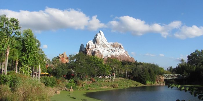 2560x1440 Disney Wallpaper – Free Disney Wallpapers » Animal Kingdom
