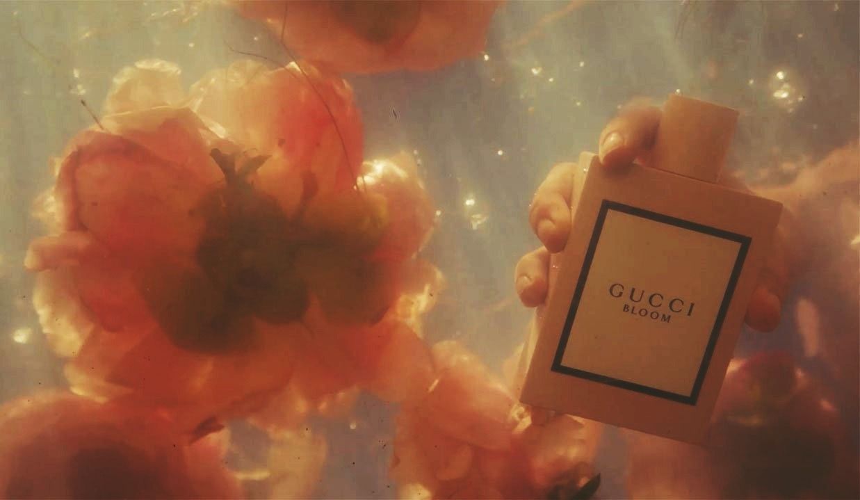 1237x719 gucci bloom | Tumblr