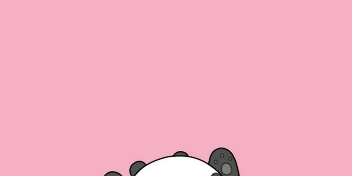 1080x1920 Cute Cartoon Panda Wallpaper - Anime And Cartoon - AMAZING WALLPAPER HD