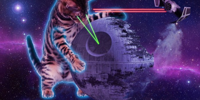 2040x1409 My second attempt at Space Cats. 1st Space Kitty is here: http