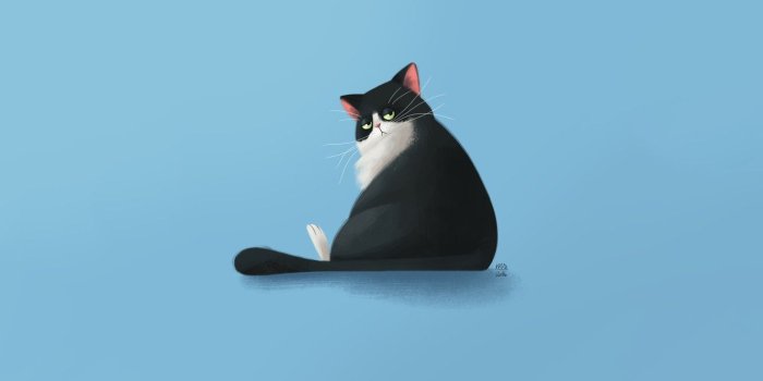 1332x850 Wallpaper Minimalism, Cat, Background, Cat, Spicchio the Cat