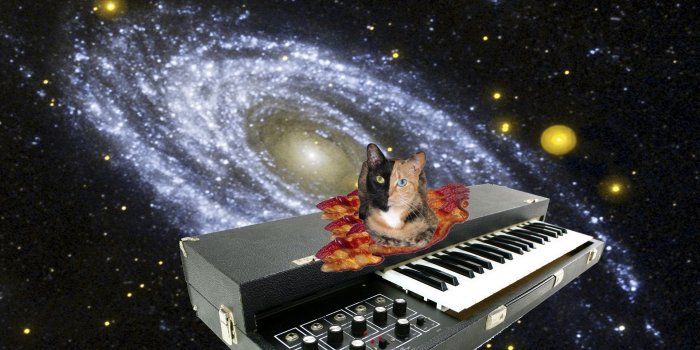 1920x1200 Cat In Space Wallpaper | 1920x1200 | ID:23455