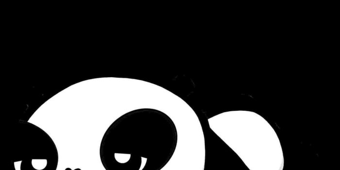 1500x1515 Cute Anime Panda Drawing