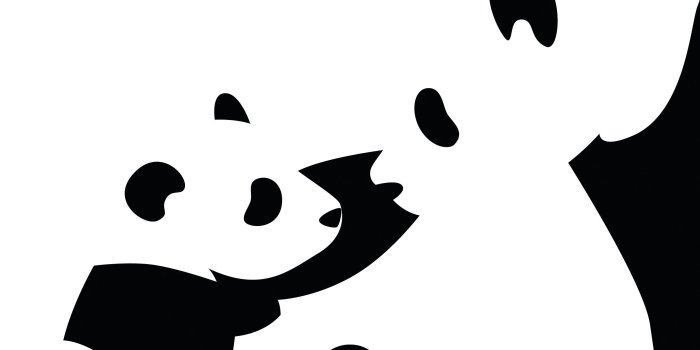 2516x1574 Cute Panda Wallpaper HD