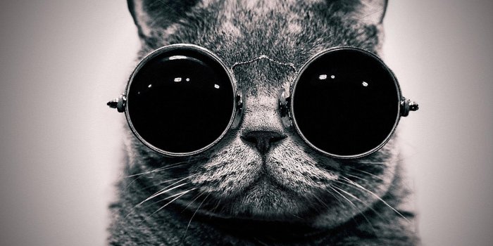 1920x1080 Cat Steampunk Wallpaper Glasses Funny Wallpapers 1920×1080