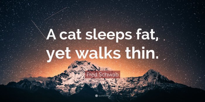 3840x2160 Fred Schwab Quote: “A cat sleeps fat, yet walks thin.” (7 wallpapers