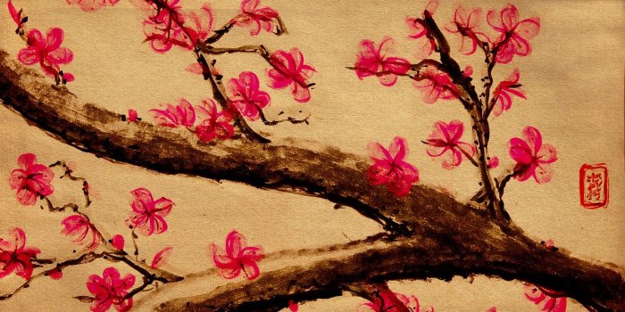 1600x1000 46+] Japanese Cherry Blossom Wallpapers on WallpaperSafari
