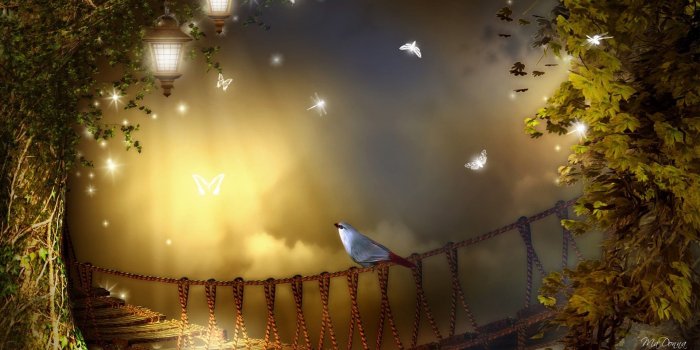 1920x1080 73+ Summer Night Wallpapers on WallpaperPlay