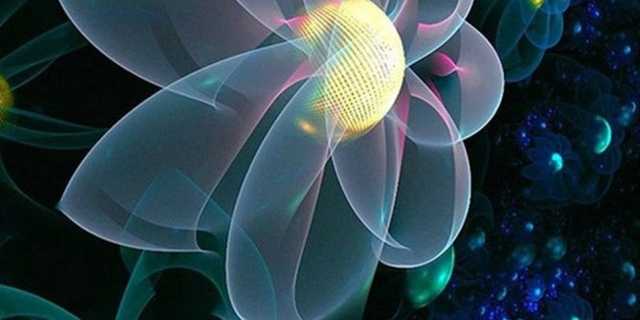 1024x1820 3D Art Samsung Galaxy S5 Wallpapers 81 Desktop Background