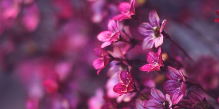 1067x1600 Mobile HD Wallpapers