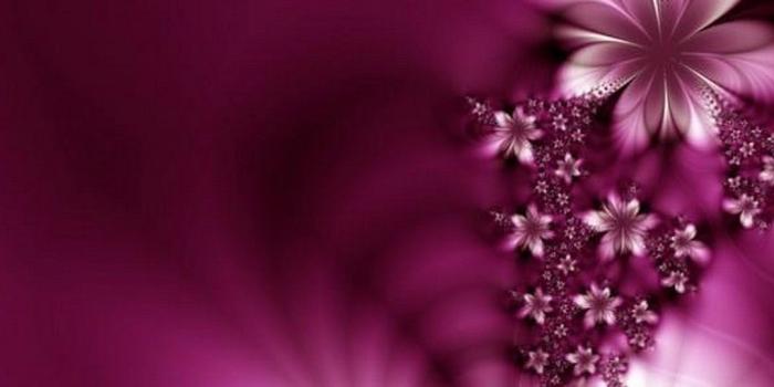 1080x1920 Pink Flowers HD Wallpaper - Picserio.com