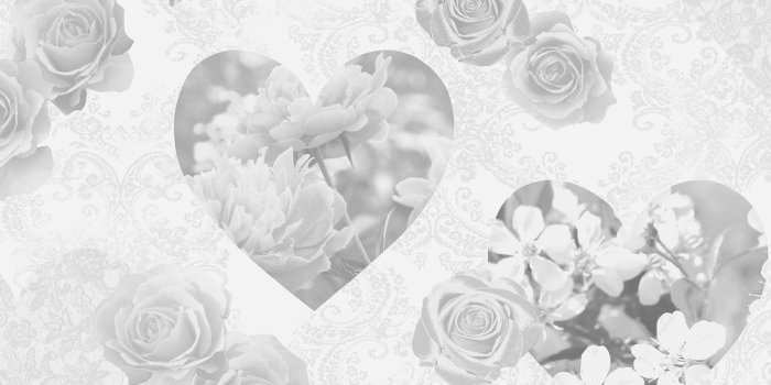 1000x1000 Silver Rose Wallpaper (34+), Find HD Wallpapers For Free