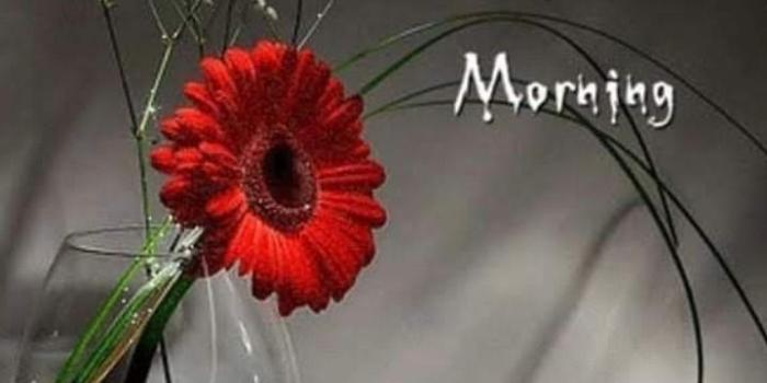 720x1302 Good Morning Graphics,Images For Facebook, Whatsapp, Twitter