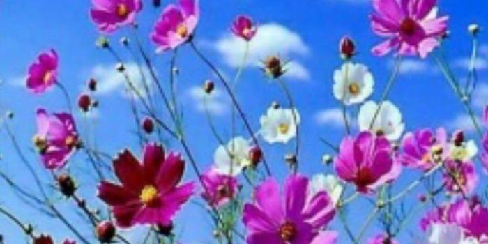 1080x1110 Good Morning Pictures, Images, Graphics - Page 252