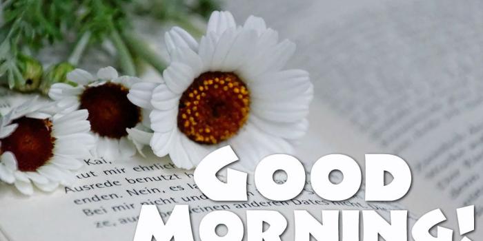 1024x768 Good Morning Love Images For Him and Her- Boyfriend|Girlfriend