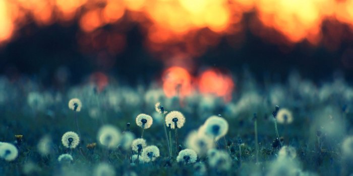 1920x1200 Summer Nights Wallpaper Widescreen with High Definition Wallpaper