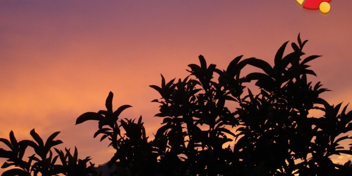 1600x1200 16 Ubuntu summer night 3d blackless nature HD Wallpaper 742