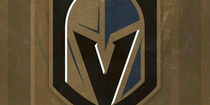 1080x1920 VGK Wallpaper For iPhone 6/7/8 Plus : goldenknights