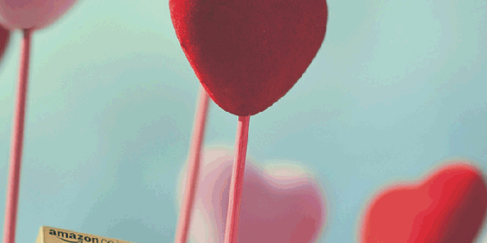 800x1280 Free Download Kindle Fire HD Wallpapers - PPT Garden