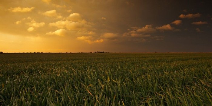 1024x1024 Amazon Fire Wallpaper | (42++ Wallpapers)