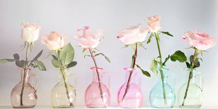 1920x1200 58+ Floral Desktop Wallpapers on WallpaperPlay