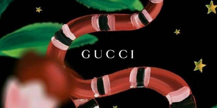720x1280 Gucci snake | Wallpaper in 2019 | Gucci wallpaper iphone, Iphone