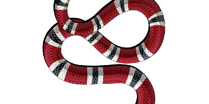 1000x1431 Gucci snake | tattoo ideas in 2019 | Snake wallpaper, Hypebeast