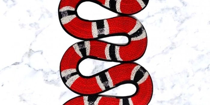 855x1520 Gucci Snake Wallpapers - Top Free Gucci Snake Backgrounds