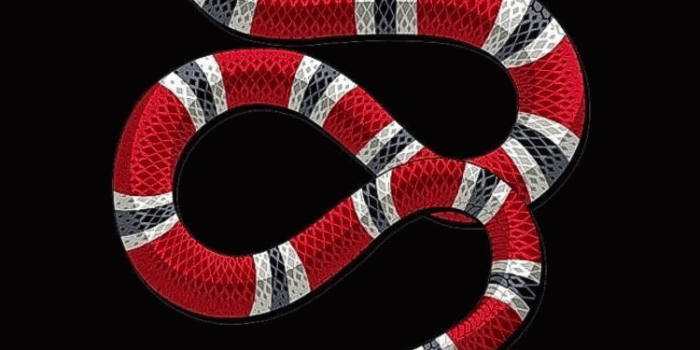 750x1334 Gucci Snake Wallpapers - Top Free Gucci Snake Backgrounds