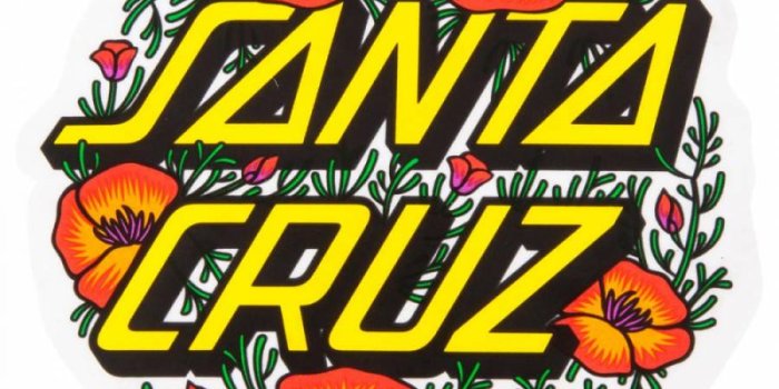 900x900 Santa cruz logo | Santa Cruz ♡♡ | Santa cruz stickers, Santa cruz