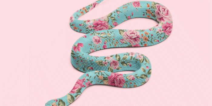 750x1334 Snake Cartoon iPhone Wallpapers - Top Free Snake Cartoon iPhone