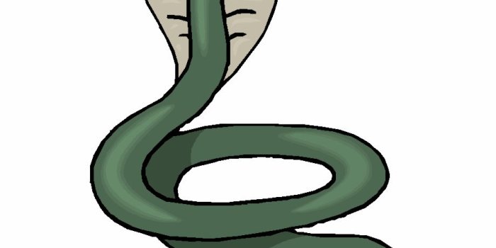 920x947 Snake Clipart - Png Black Snake Background Free PNG Images & Clipart