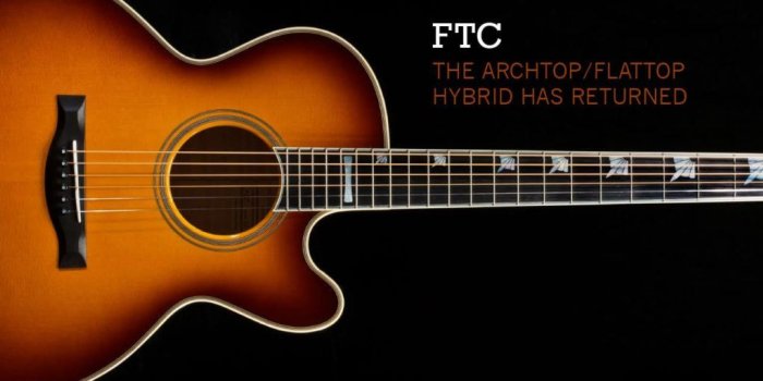 1600x511 Santa Cruz Guitar Company |