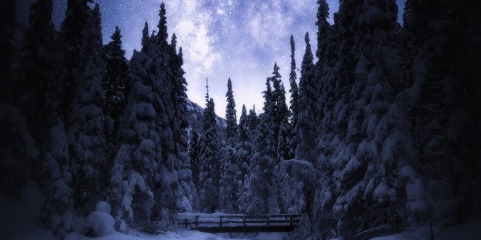 3888x5184 Wallpaper Starry sky, Night, Banff National Park, Winter, Pine trees