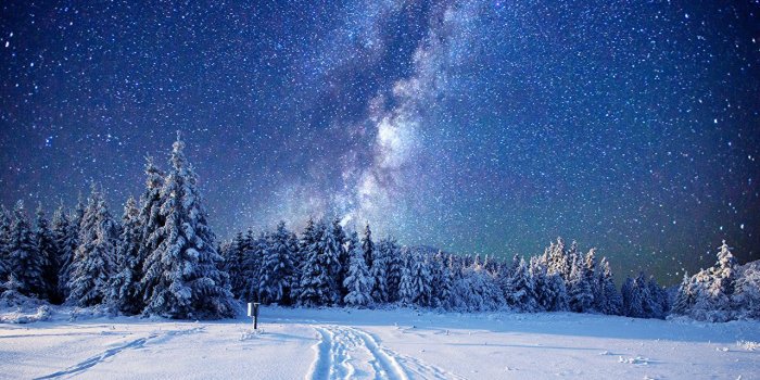 1280x921 Desktop Wallpapers Stars Nature Spruce Winter Sky Snow forest Night