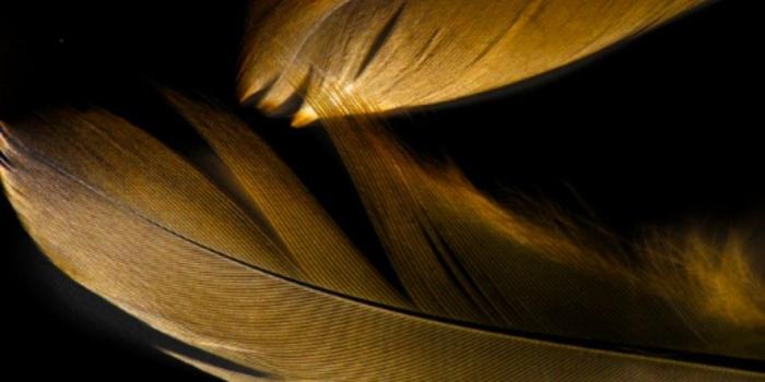 886x1920 Download Huawei Porsche Design Mate 20 wallpapers