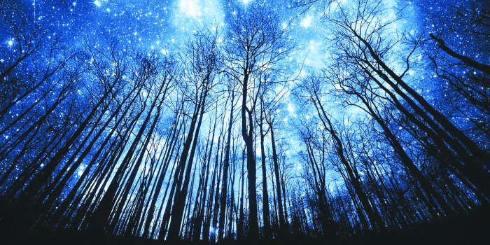 2222x1200 warm-house-under-night-winter-sky-wallpaper-15 copy - Laguna