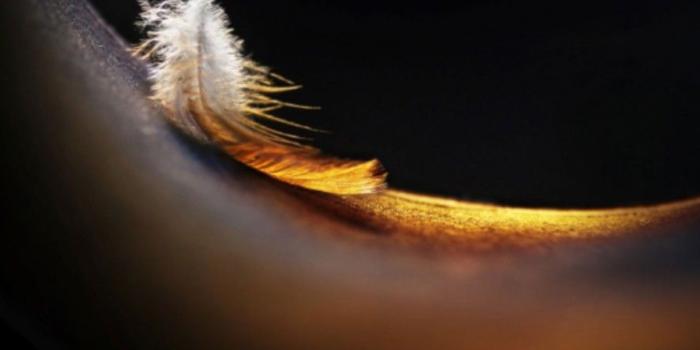 886x1920 Download Huawei Porsche Design Mate 20 wallpapers