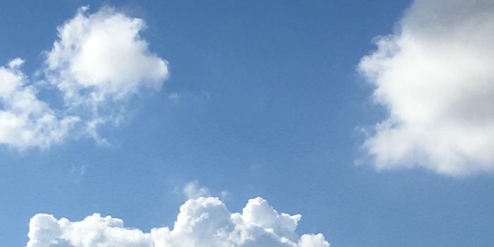 2096x3721 60101951 ☁︎. on my cloud. in 2019 | Sky aesthetic, Clouds