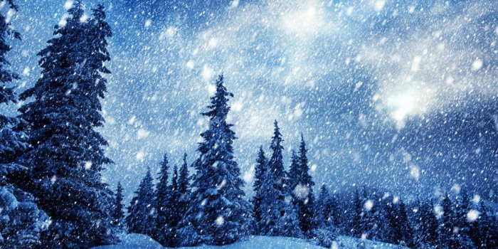 1280x800 Winter: Snow Winter Trees Nature Sky Wallpaper Beautiful for HD 16:9