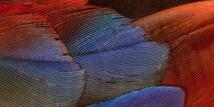 886x1920 Download Huawei Porsche Design Mate 20 wallpapers