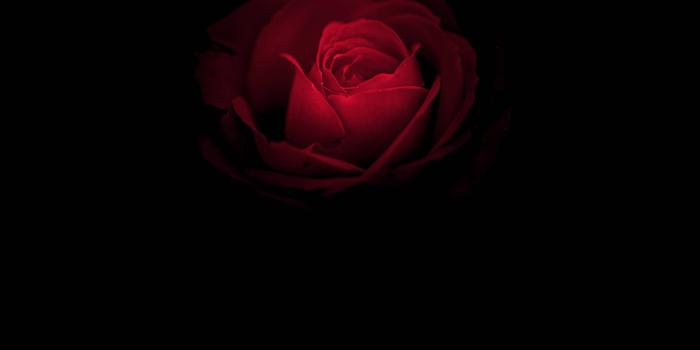 2880x2880 Huawei Mate RS Porsche Design Wallpaper 04 - [2880x2880]