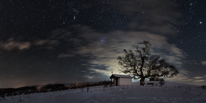 1920x1080 2809591 1920x1080 nature trees forest branch landscape winter snow