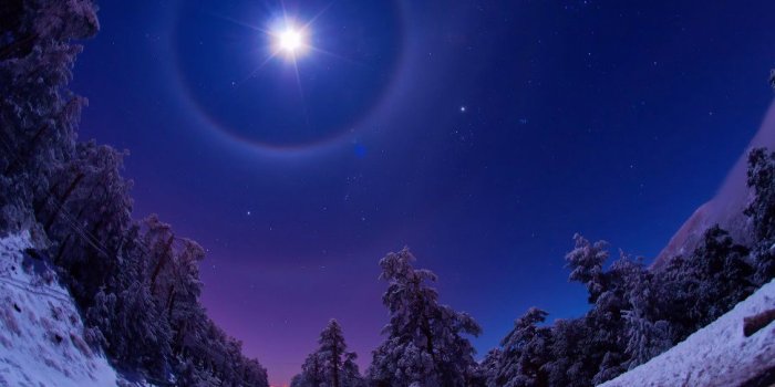 1130x706 A big star in the sky brightenss in a winter night