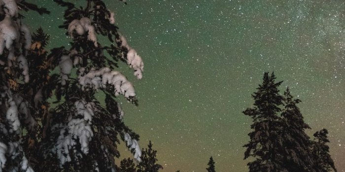 938x1668 Download wallpaper 938x1668 trees, snow, winter, starry sky, stars