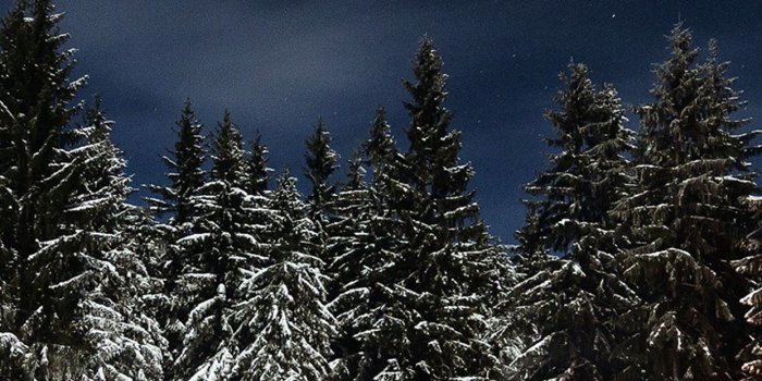 1242x2208 iPhone7papers.com | iPhone7 wallpaper | nl37-winter-house-night-sky