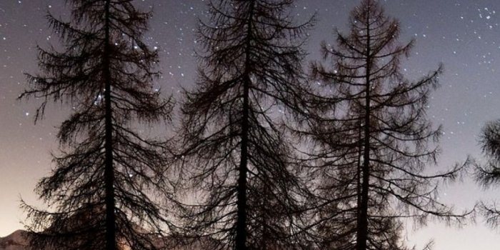 1080x1920 Winter, Starry Sky, Night, Ecosystem, Light Wallpaper for Android