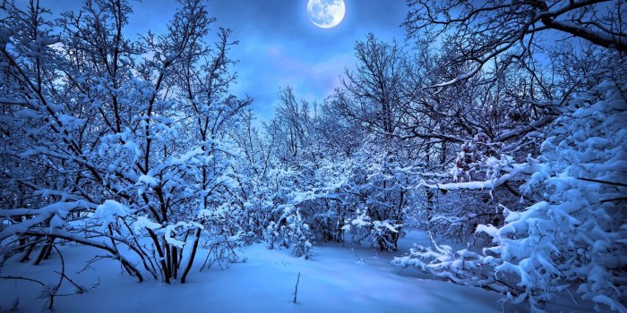 2560x1600 Winter Night Wallpapers (79+ background pictures)