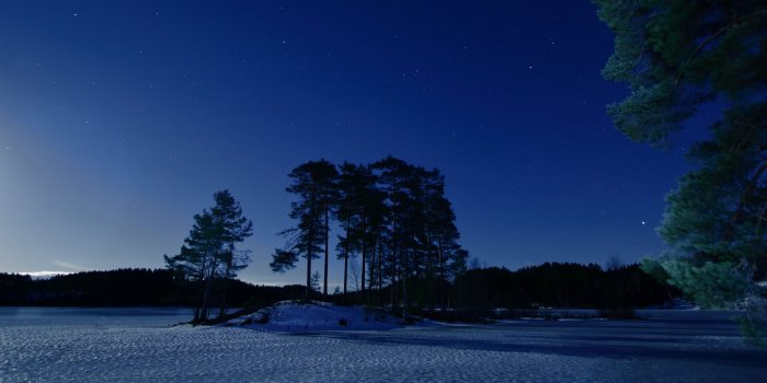 3840x2160 Download wallpaper 3840x2160 starry sky, winter, snow, trees, night